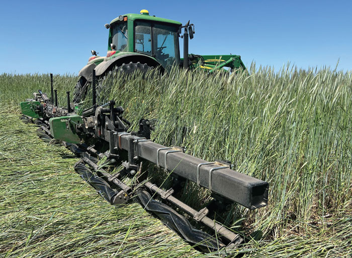 Closing The Cover Crop ROI Gap closing-the-cover-crop-roi-gap